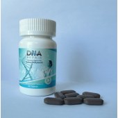 DNA修复片