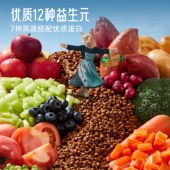 美国Fromm三文鱼蔬菜鸭肉配方全猫粮